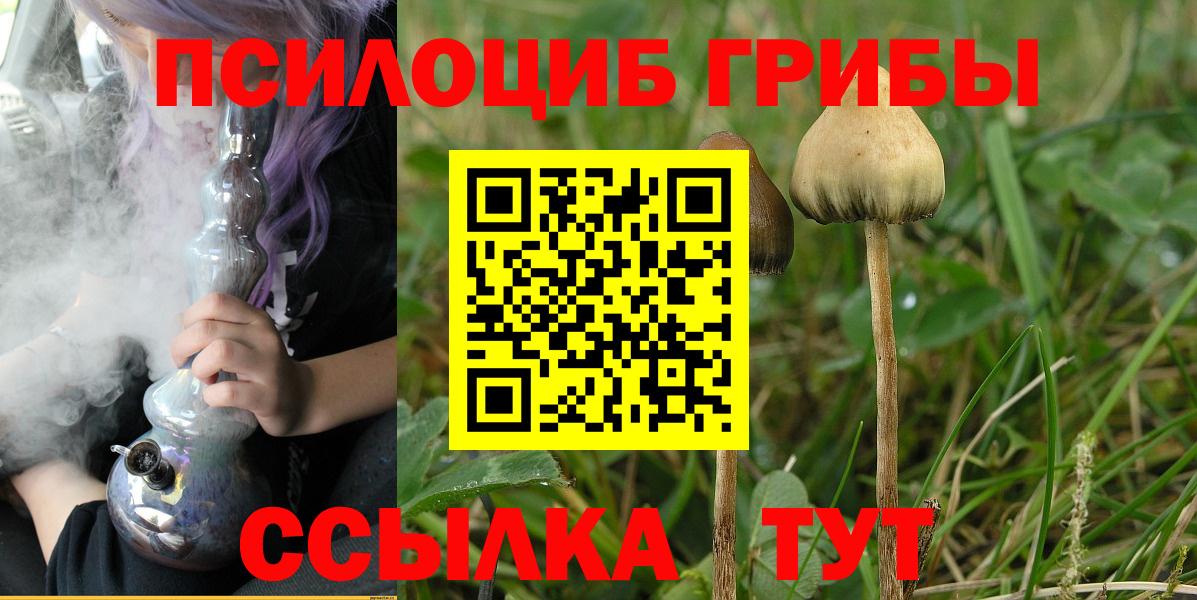 Галлюциногенные грибы GOLDEN TEACHER Аша