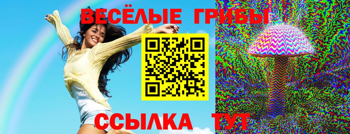 Галлюциногенные грибы прущие грибы  Вход с VPN  Аша  Галлюциногенные грибы прущие грибы 